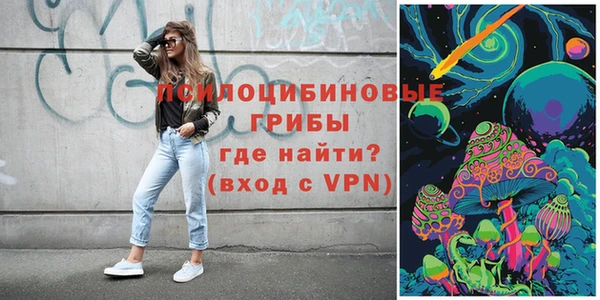 дмт Арсеньев