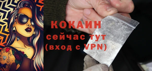 дмт Арсеньев