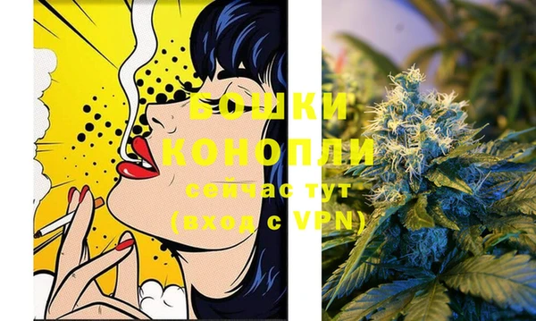 Альфа ПВП Аркадак